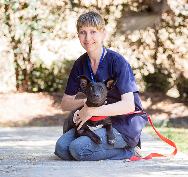 veterinary nurse rohan